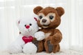 Valentine's day concept. Two funny teddy bears, brown and white with a red heart, sit and hug cutely on a white Royalty Free Stock Photo