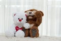 Valentine's day concept. Two funny teddy bears brown and white with a red heart sit and hug cutely on a white Royalty Free Stock Photo