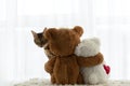 Valentine& x27;s day concept. Two teddy bears, brown and white with a red heart, are sitting with their backs, hugging Royalty Free Stock Photo