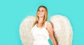 Valentines angel girl. Cute female cupid in white angelic wings. Valentine angels woman. Royalty Free Stock Photo