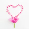 Valentines background. Heart symbol of roses petals and tulip on white background. Flat lay, Top view. Royalty Free Stock Photo