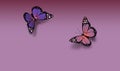 Valentines Butterflies greeting abstract graphic background