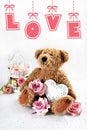 Valentines card with cute teddy bear with roses and a heart sitting on white background