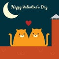 Valentines cat couple roof