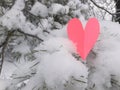 Valentines Day background. Pink paper heart on fluffy snowy background.