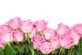 Valentines day background with pink roses