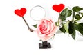 .Valentines Day background with tool third hand holding hearts and rose on white