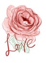 Valentines day background white pink pattern. Illustration of pink flower for Valentine`s Day.