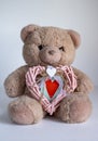 Valentines day bear with heart Royalty Free Stock Photo