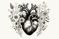 Valentines day card. Anatomical heart with flowers. Black and white ink illustration Royalty Free Stock Photo