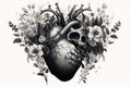 Valentines day card. Anatomical heart with flowers. Black and white ink illustration Royalty Free Stock Photo