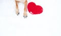 Valentines Day card with dog on white background. Paws of German Shepherd of red color on snow with large soft toy red heart Royalty Free Stock Photo