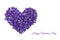 Valentines day card. Heart shape flowers. Violets love symbol isolated on white background. Template for greeting card Royalty Free Stock Photo