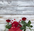 Valentines day greeting concept with envelope filled with small gold and red hearts plus rose flowers on white rustic wood setting