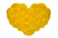 Valentines day. Heart flover isolated on a white background Royalty Free Stock Photo