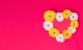 Valentines Day heart made of beautiful flowers isolated on pink background.