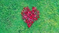 Valentines Day Heart Made of Red Roses petals Isolated on Green Grass background Royalty Free Stock Photo