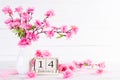 Valentines day and love concept. Pink Plum Peach Blossom in vase with February 14 text on wooden block calendar on white wooden Royalty Free Stock Photo