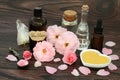 Valentines Day Love Potion Magic Spell Ingredients Royalty Free Stock Photo
