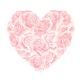 Valentines day pink cream roses filled heart isolated on white background Royalty Free Stock Photo