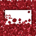 Valentines Day red petals