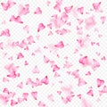 Valentines Day romantic background of pink hearts petals falling. Realistic flower petal in shape of heart confetti Royalty Free Stock Photo