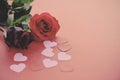 Valentines day romantic flower love concept / red roses flower and pink heart on red Royalty Free Stock Photo
