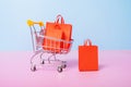 Valentines day sale shopping concept. Dall with shopping bags