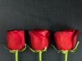 Valentines Day Traditional Red Roses Royalty Free Stock Photo