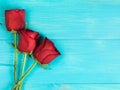 Valentines Day Traditional Red Roses Royalty Free Stock Photo