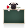 Valentines dog Royalty Free Stock Photo