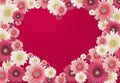 Valentines flower card Royalty Free Stock Photo