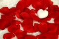 VALENTINES, HAPPY, LOVE, ROMANCE, wine , feb 14, hearts and rose petals