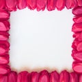 Valentines or Mothers Day Frame - Stock Photos Royalty Free Stock Photo