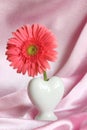 Valentines or Mothers Day Gift - Stock Photo Royalty Free Stock Photo