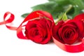 Valentines Rose Flower