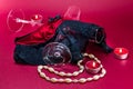 Valentines setup with erotic lingerie placed in between champagne glasses, pearl necklace and candles with a flame and fire. Royalty Free Stock Photo