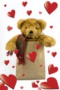 Valentines teddy bear Royalty Free Stock Photo
