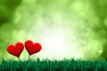 Valentines week special illustration idea. Hearts is standing on nature grass background. Empty Space