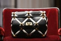 Valentino luxury and fashionable handbag