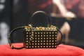 Valentino luxury and fashionable handbag