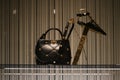 Valentino luxury and fashionable handbags