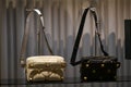 Valentino luxury and fashionable handbags