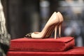 Valentino luxury and fashionable shoes