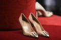 Valentino luxury and fashionable shoes