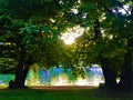 Valentino Park, trees and light in Turin city, Italy Royalty Free Stock Photo