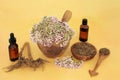 Valerian Herb Adaptogen Herbal Plant Medicine