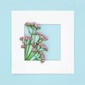 Valerian Herb Flower Background Border Composition Royalty Free Stock Photo