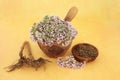 Valerian Herb Root and Flowers for Herbal Medicine Royalty Free Stock Photo