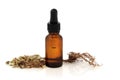 Valerian Root and Tincture Bottle Royalty Free Stock Photo